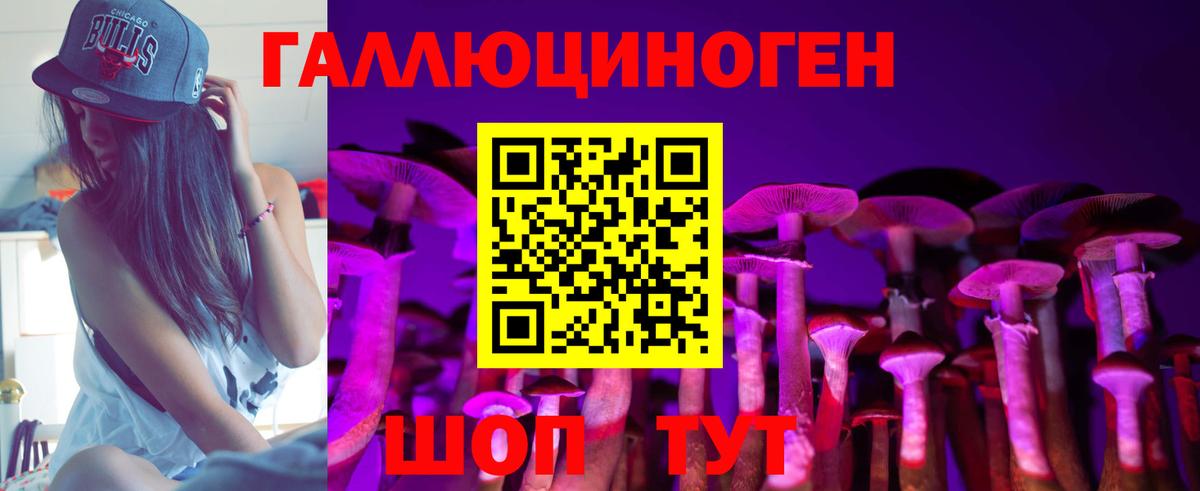 Псилоцибиновые грибы MAGIC MUSHROOMS  Вход с VPN  Псилоцибиновые грибы MAGIC MUSHROOMS  Нижний Новгород 