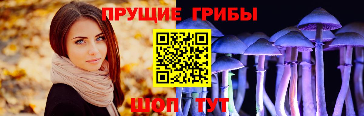 Псилоцибиновые грибы прущие грибы Нижний Новгород